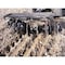 Yard Tuff ATV Single Gang Disc ATV-51SGDH - alternate 2